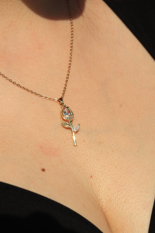 TAŞLI AÇMAMIŞ GÜL