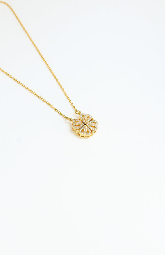 AÇILABİLEN KALPLİ YONCA